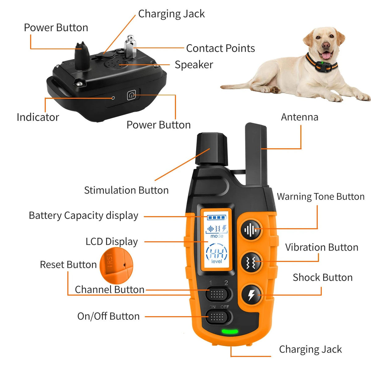 Waterproof Electric Training Collar for Dog with Remote Control – Range 3300 Feet, Adjustable, Shock and Vibration Modes