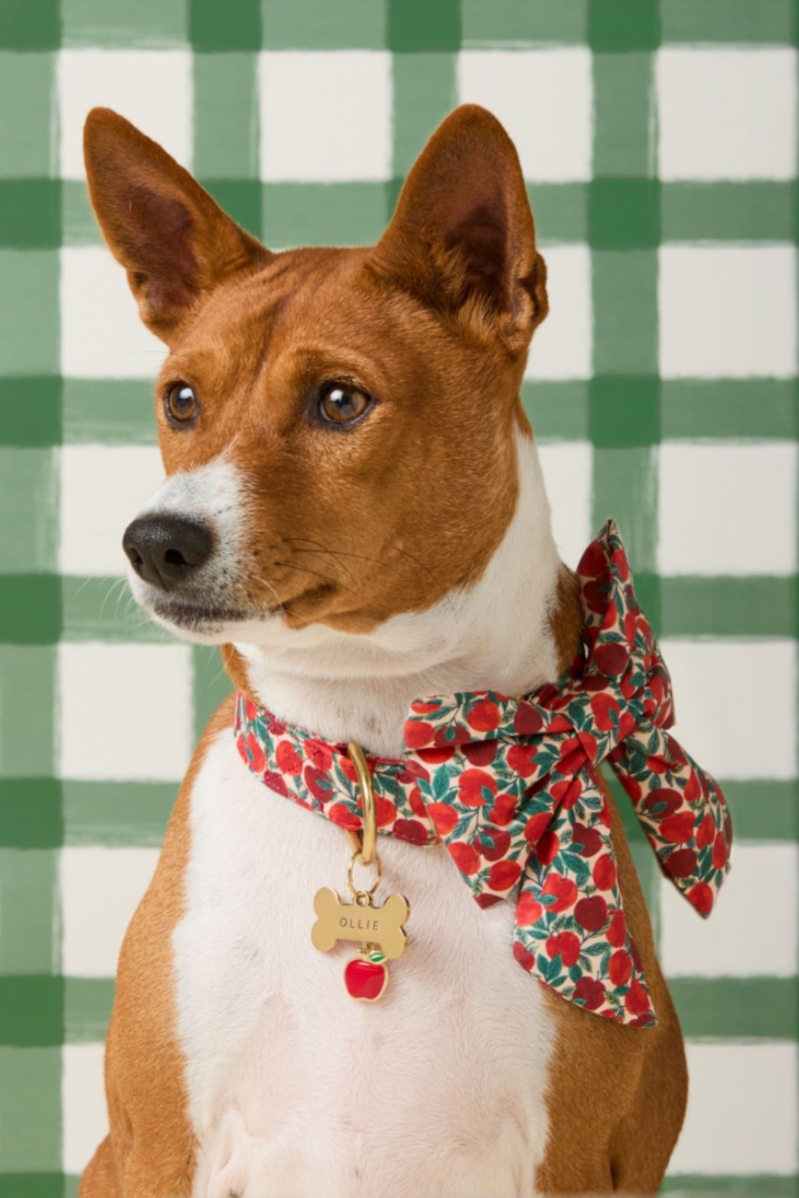 Pet Goods