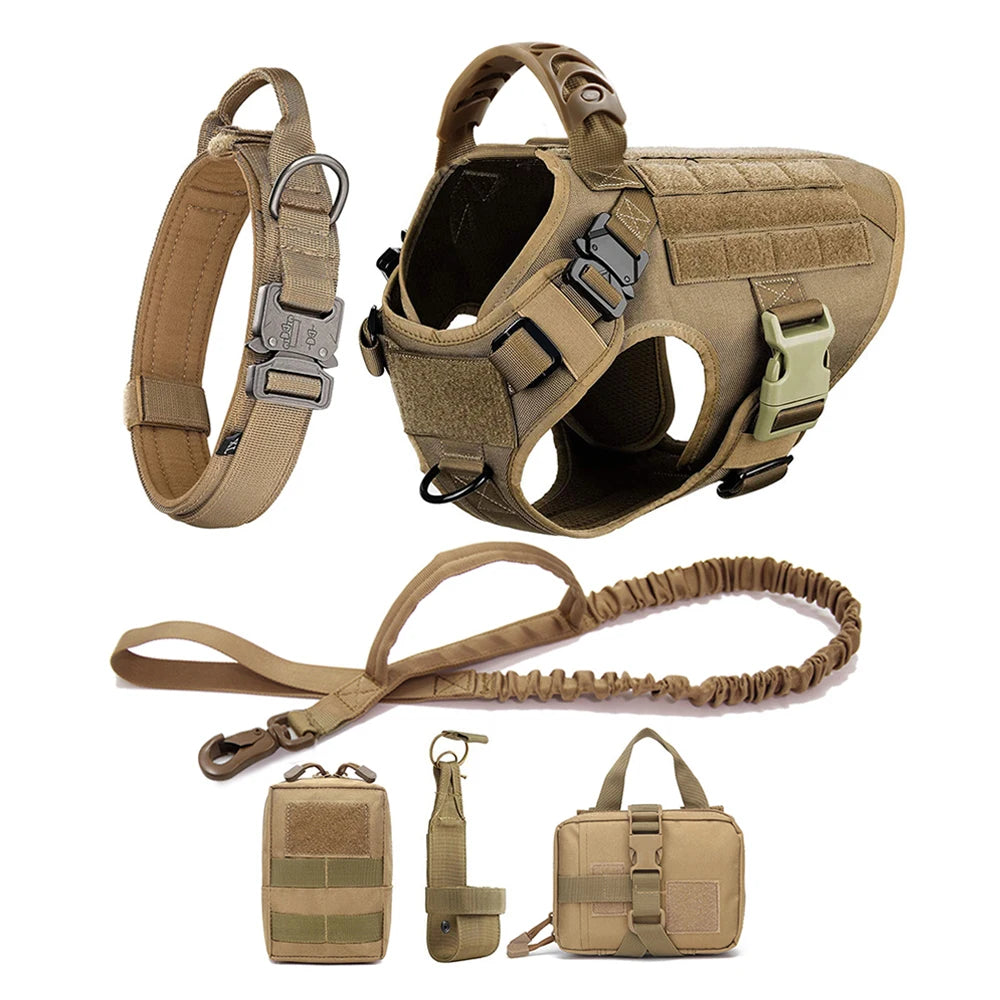 Ensemble Harnais et Laisse Réglables pour Chiens de Taille Moyenne à Grande – Gilet en Nylon Résistant avec Confort Rembourré