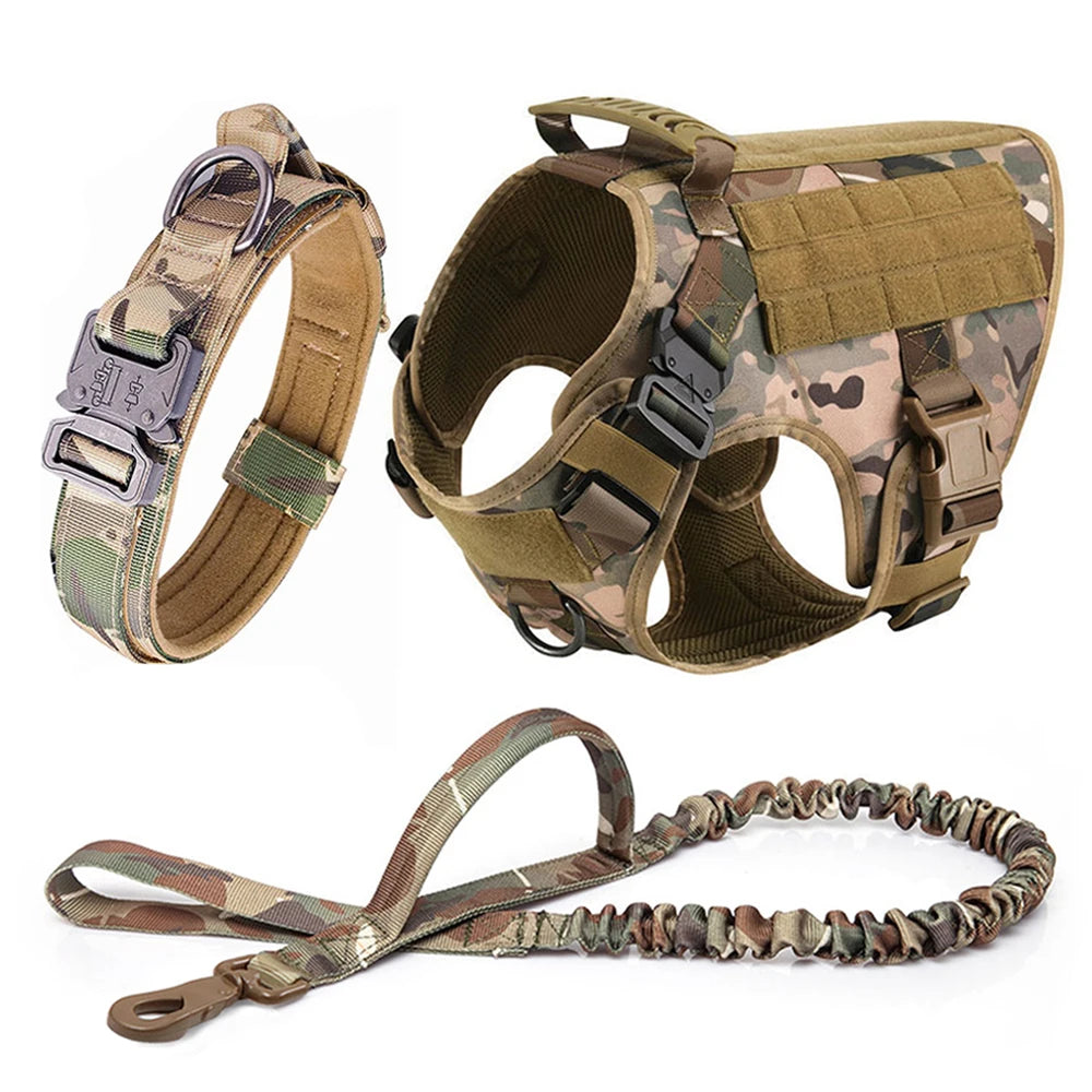 Ensemble Harnais et Laisse Réglables pour Chiens de Taille Moyenne à Grande – Gilet en Nylon Résistant avec Confort Rembourré