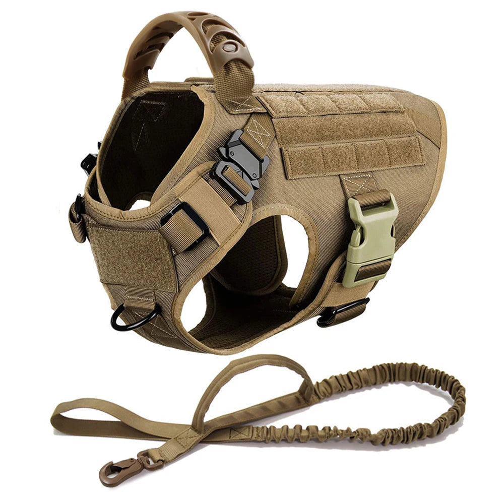 Ensemble Harnais et Laisse Réglables pour Chiens de Taille Moyenne à Grande – Gilet en Nylon Résistant avec Confort Rembourré
