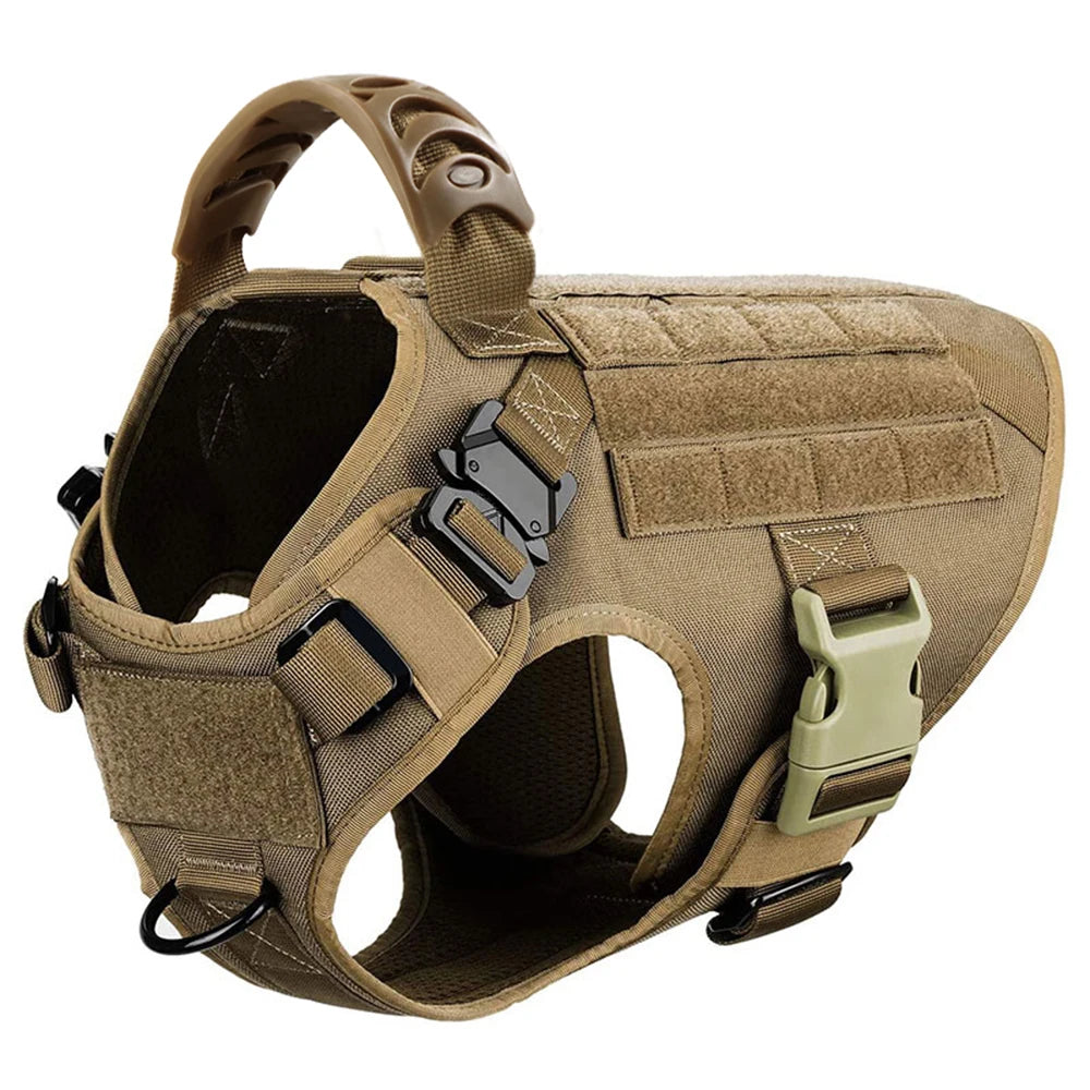Ensemble Harnais et Laisse Réglables pour Chiens de Taille Moyenne à Grande – Gilet en Nylon Résistant avec Confort Rembourré