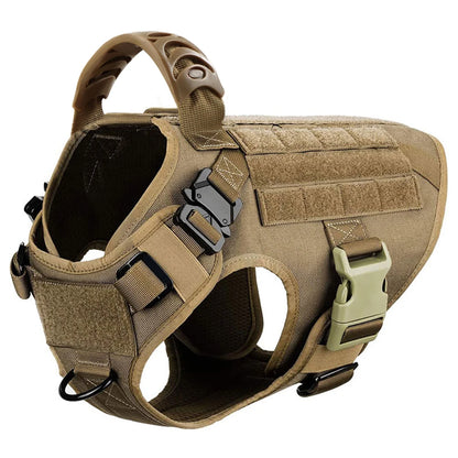 Ensemble Harnais et Laisse Réglables pour Chiens de Taille Moyenne à Grande – Gilet en Nylon Résistant avec Confort Rembourré