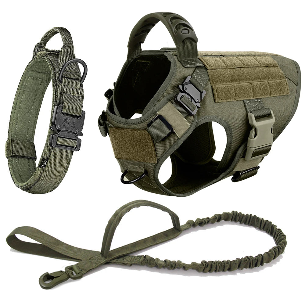 Ensemble Harnais et Laisse Réglables pour Chiens de Taille Moyenne à Grande – Gilet en Nylon Résistant avec Confort Rembourré
