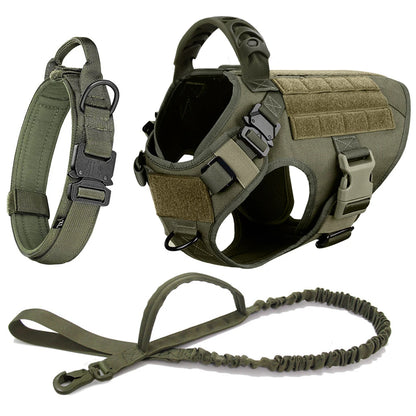 Ensemble Harnais et Laisse Réglables pour Chiens de Taille Moyenne à Grande – Gilet en Nylon Résistant avec Confort Rembourré