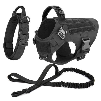 Ensemble Harnais et Laisse Réglables pour Chiens de Taille Moyenne à Grande – Gilet en Nylon Résistant avec Confort Rembourré