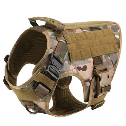 Ensemble Harnais et Laisse Réglables pour Chiens de Taille Moyenne à Grande – Gilet en Nylon Résistant avec Confort Rembourré