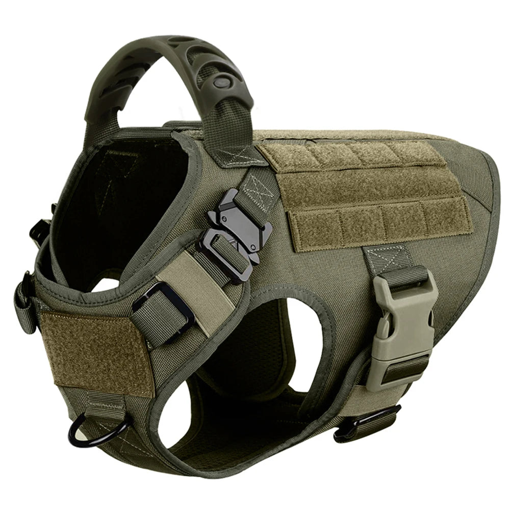 Ensemble Harnais et Laisse Réglables pour Chiens de Taille Moyenne à Grande – Gilet en Nylon Résistant avec Confort Rembourré