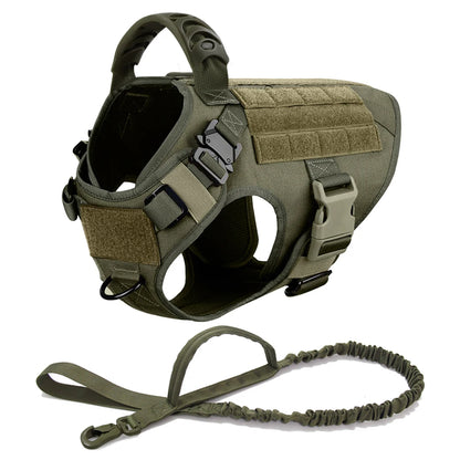Ensemble Harnais et Laisse Réglables pour Chiens de Taille Moyenne à Grande – Gilet en Nylon Résistant avec Confort Rembourré