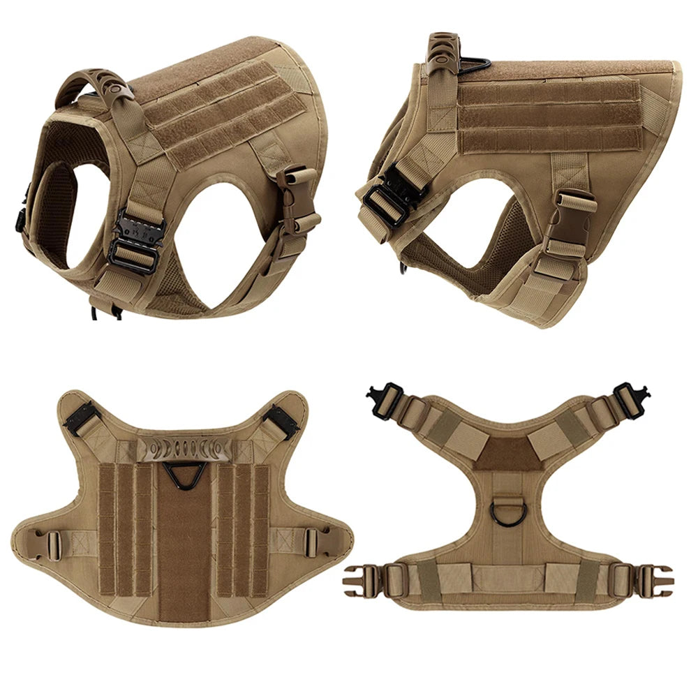 Ensemble Harnais et Laisse Réglables pour Chiens de Taille Moyenne à Grande – Gilet en Nylon Résistant avec Confort Rembourré