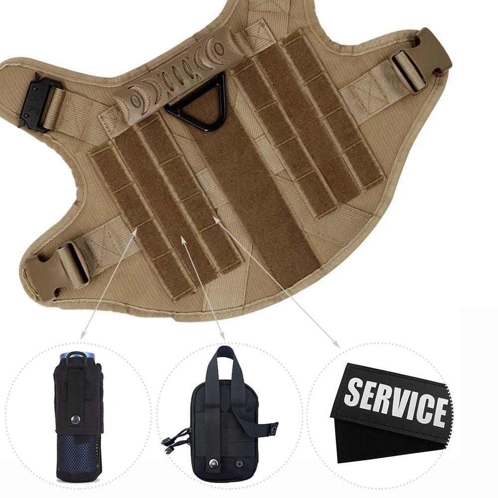 Ensemble Harnais et Laisse Réglables pour Chiens de Taille Moyenne à Grande – Gilet en Nylon Résistant avec Confort Rembourré
