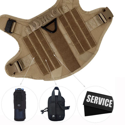 Ensemble Harnais et Laisse Réglables pour Chiens de Taille Moyenne à Grande – Gilet en Nylon Résistant avec Confort Rembourré