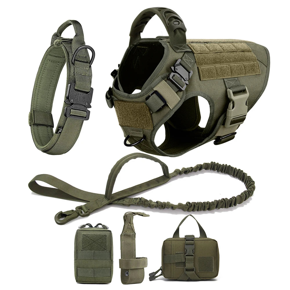 Ensemble Harnais et Laisse Réglables pour Chiens de Taille Moyenne à Grande – Gilet en Nylon Résistant avec Confort Rembourré