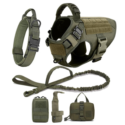 Ensemble Harnais et Laisse Réglables pour Chiens de Taille Moyenne à Grande – Gilet en Nylon Résistant avec Confort Rembourré
