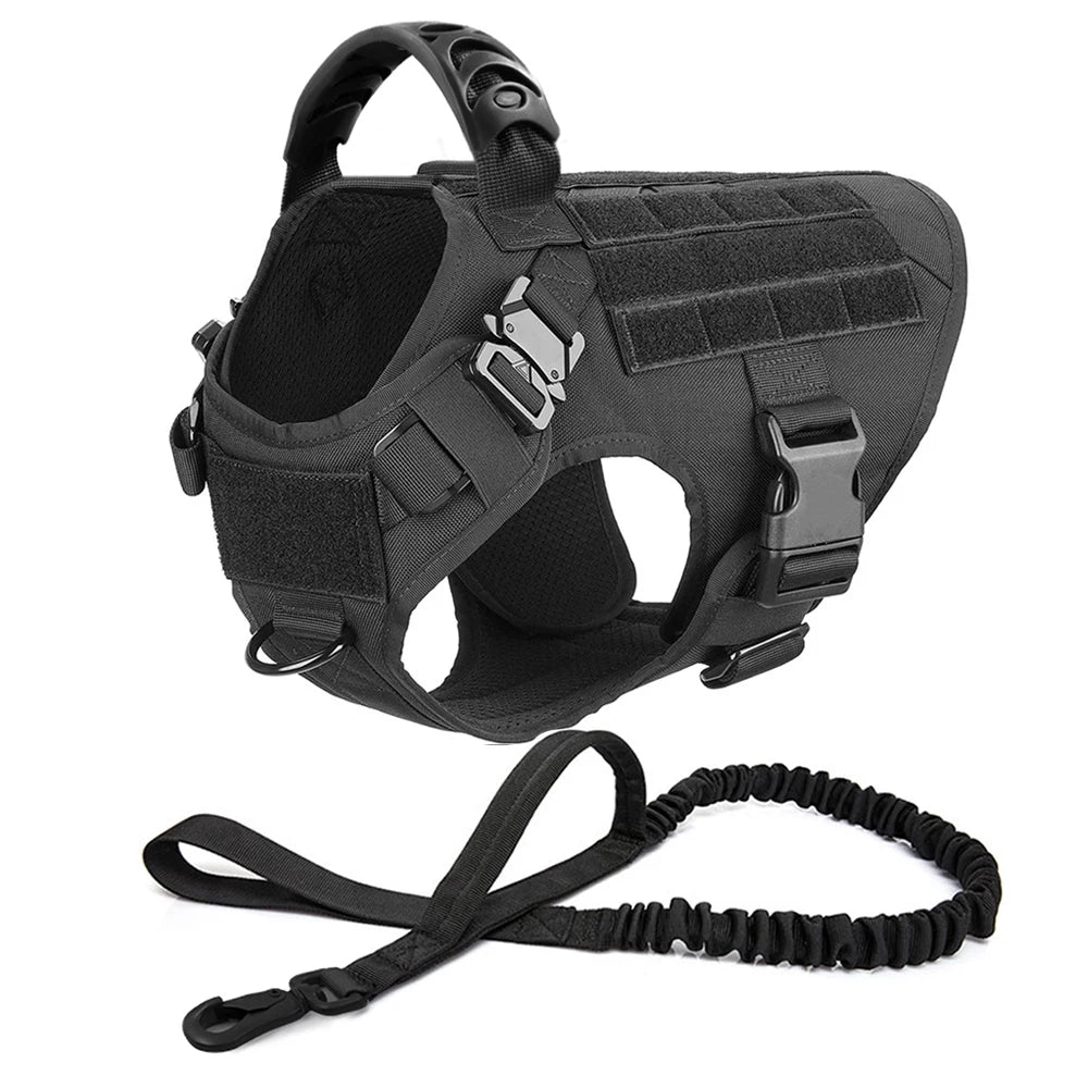 Ensemble Harnais et Laisse Réglables pour Chiens de Taille Moyenne à Grande – Gilet en Nylon Résistant avec Confort Rembourré