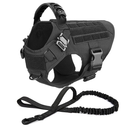 Ensemble Harnais et Laisse Réglables pour Chiens de Taille Moyenne à Grande – Gilet en Nylon Résistant avec Confort Rembourré