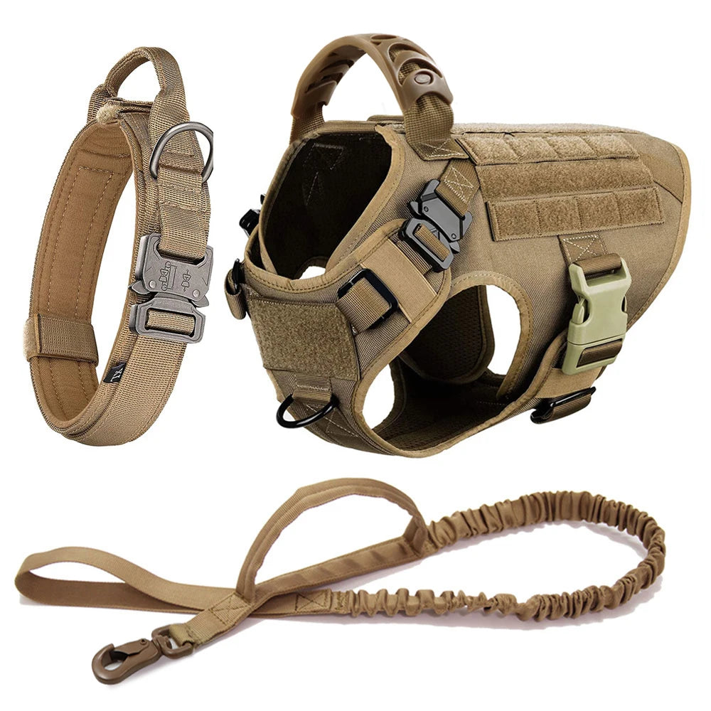 Ensemble Harnais et Laisse Réglables pour Chiens de Taille Moyenne à Grande – Gilet en Nylon Résistant avec Confort Rembourré