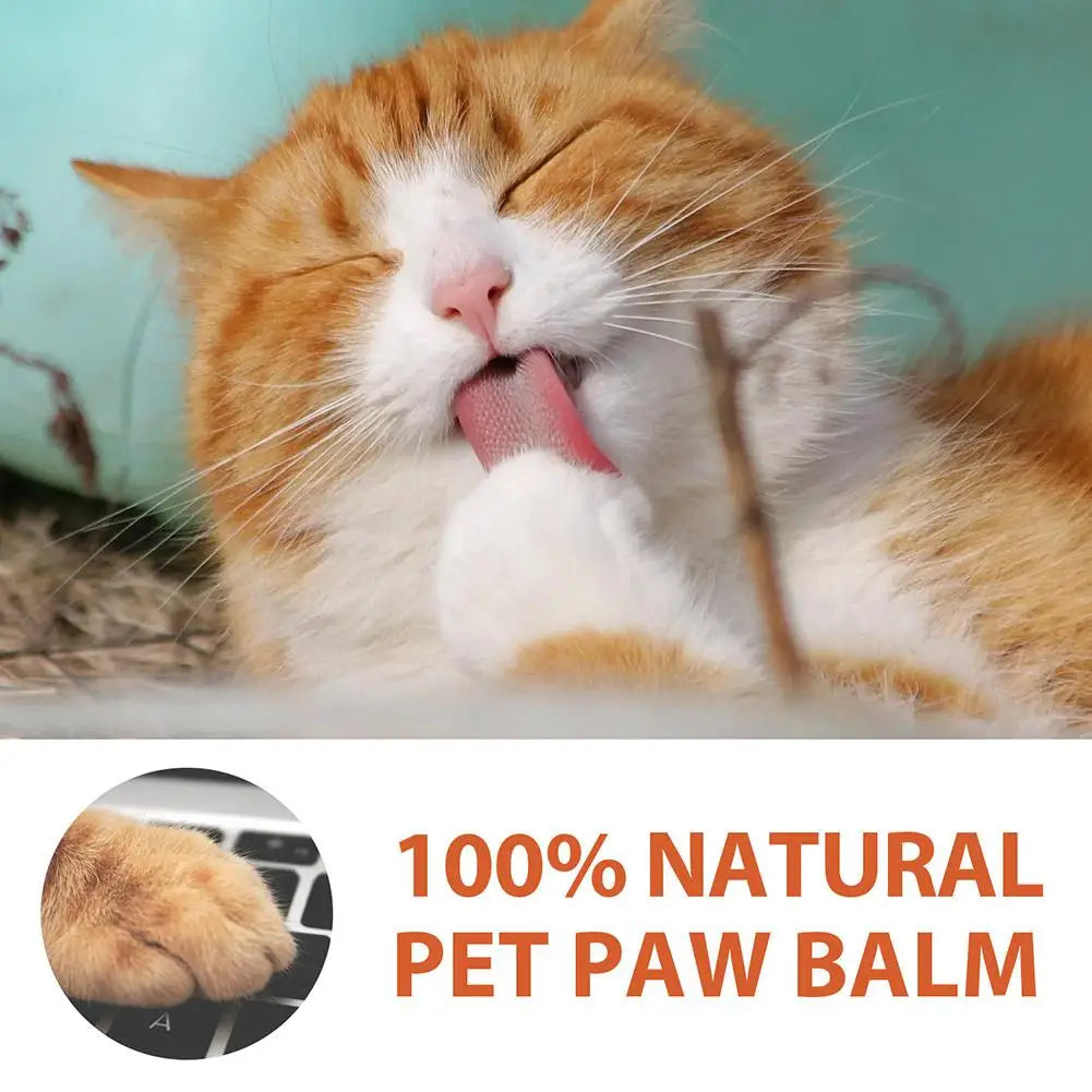 Baume hydratant pour pattes de chien et de chat – Protection et confort en toutes saisons