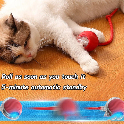 Jouet interactif boule de fruits pour chats et chiens – Jouet électrique rechargeable avec mouvement intelligent et silencieux