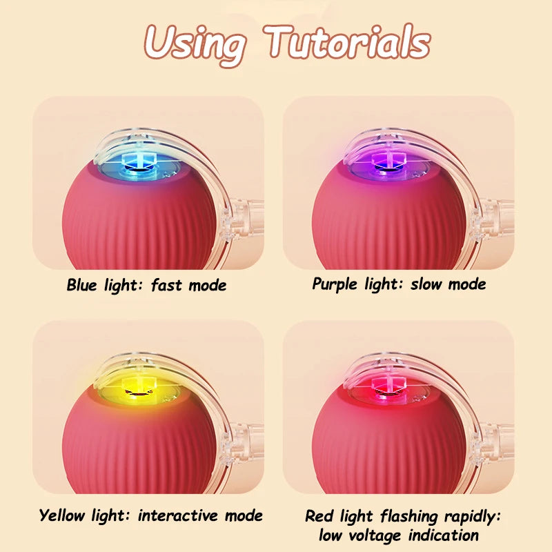 Jouet interactif boule de fruits pour chats et chiens – Jouet électrique rechargeable avec mouvement intelligent et silencieux